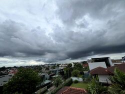 Raffles Park (D11), Detached #453038911